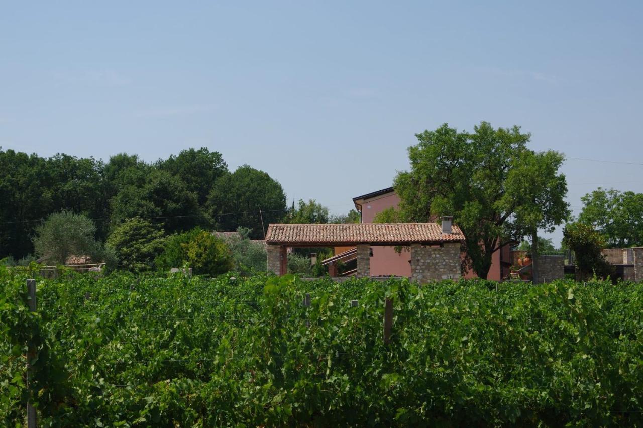 Agriturismo La Casa Del Mandorlo Monzambano Exterior foto